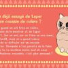 Mes petites cartes pour apprivoiser mes émotions d'enfant , Pierres de Lumière, tarots, lithothérapie, bien-être, ésotérisme, oracles, livres, librairie, pendules, pierres roulées