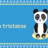 Mes petites cartes pour apprivoiser mes émotions d'enfant , Pierres de Lumière, tarots, lithothérapie, bien-être, ésotérisme, oracles, livres, librairie, pendules, pierres roulées