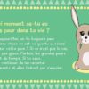 Mes petites cartes pour apprivoiser mes émotions d'enfant , Pierres de Lumière, tarots, lithothérapie, bien-être, ésotérisme, oracles, livres, librairie, pendules, pierres roulées