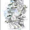 L'Oracle des animaux de la forêt boréale , Pierres de Lumière, tarots, lithothérapie, bien-être, ésotérisme, oracles, livres, librairie, pendules, pierres roulées