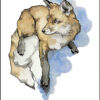L'Oracle des animaux de la forêt boréale , Pierres de Lumière, tarots, lithothérapie, bien-être, ésotérisme, oracles, livres, librairie, pendules, pierres roulées