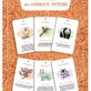 L'Oracle des animaux totems , Pierres de Lumière, tarots, lithothérapie, bien-être, ésotérisme, oracles, livres, librairie, pendules, pierres roulées
