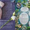 Mes rituels magiques de bien-être : Purification, énergisation, équilibre