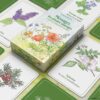 Messages des plantes sauvages : Quand votre tirage devient cueillette - Pierres de Lumière