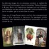 Sagesse de Sorcières - Pierres de Lumière