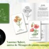 Messages des plantes sauvages : Quand votre tirage devient cueillette - Pierres de Lumière