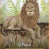 Les Saisons de la Sorcière - Oracle de Beltane - Pierres de Lumière