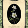 L'Oracle des fleurs - Pierres de Lumière
