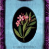 L'Oracle des fleurs - Pierres de Lumière