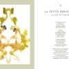 Tarot des plantes sauvages - Pierres de Lumière