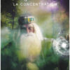 L'Oracle de la Forêt sacrée - Pierres de Lumière