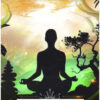 Murmure de l'Univers - 36 cartes oracles pour communiquer avec vos guides spirituels - Pierres de Lumière