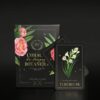 Arpentez l’univers végétal au rythme des fleurs, des plantes et des bois pour vous immerger dans l’énergie spirituelle de la nature. - Pierres de Lumière