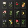 Arpentez l’univers végétal au rythme des fleurs, des plantes et des bois pour vous immerger dans l’énergie spirituelle de la nature. - Pierres de Lumière