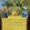 Le Tarot de la sagesse des dragons - Pierres de Lumière
