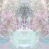 L'Oracle de la Rose - Pierres de Lumière