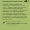 Le coffret de la Chance - Pierres de Lumière