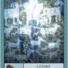 L'Oracle des chamans - 52 cartes oracle pour accéder au bien-être et à la sagesse - Pierres de Lumière