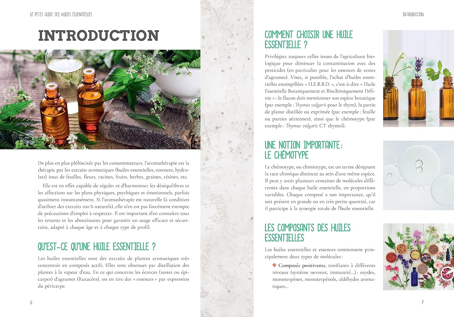 Le petit guide des huiles essentielles - Pierres de Lumiere