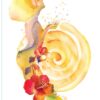 L'Oracle de la femme guérisseuse : 44 cartes et son livre d'accompagnement pour éveiller la femme médecine qui sommeille en vous ! - Pierres de Lumière