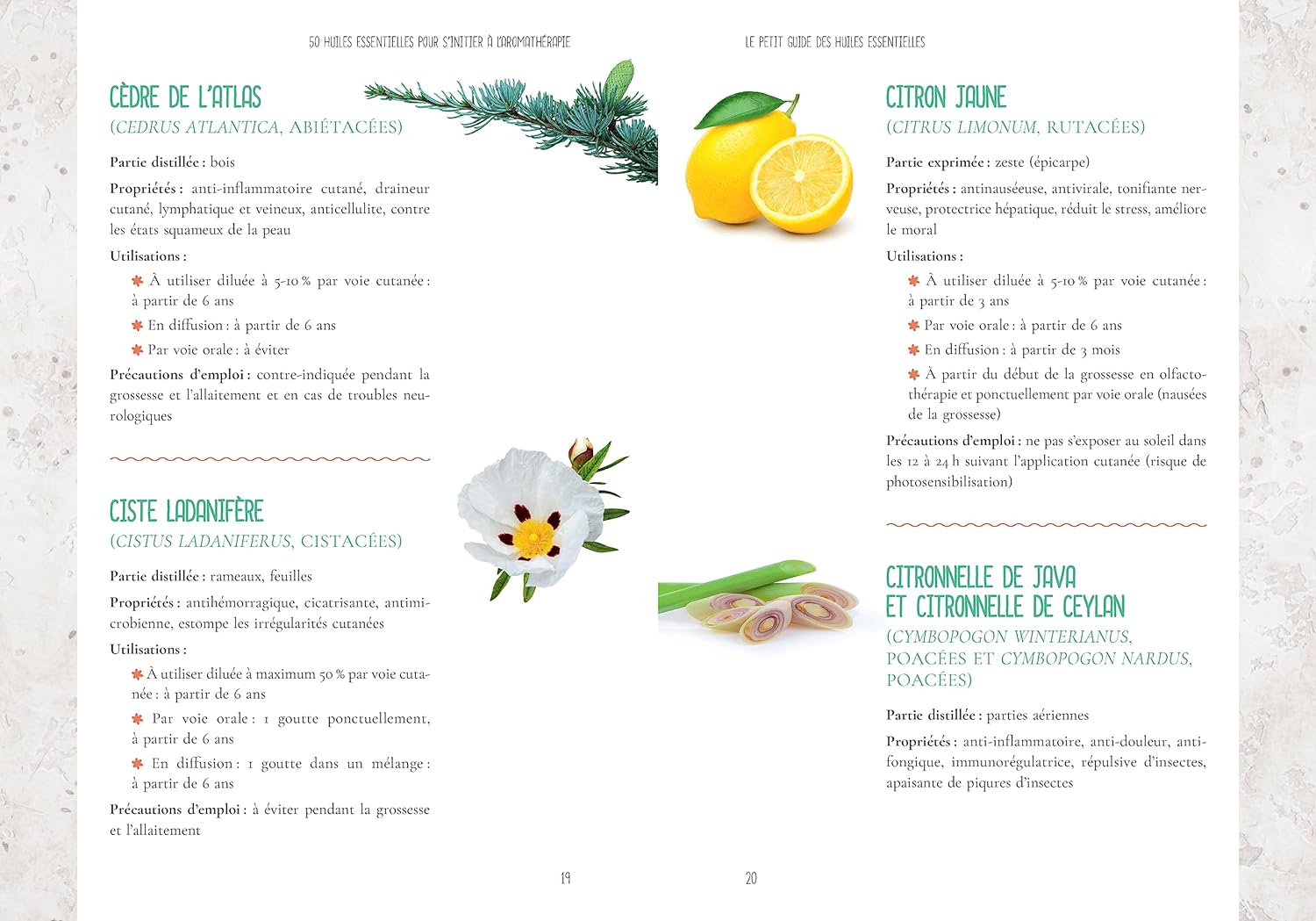 Le petit guide des huiles essentielles - Pierres de Lumiere