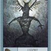 L'Oracle des chamans - 52 cartes oracle pour accéder au bien-être et à la sagesse - Pierres de Lumière