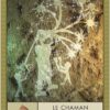 L'Oracle des chamans - 52 cartes oracle pour accéder au bien-être et à la sagesse - Pierres de Lumière