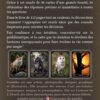 La réponse est là - Pierres de Lumière