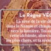 Le petit oracle de la mission d'âme - Pierres de Lumière