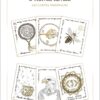L'Oracle Rêveil - Un livre & 46 cartes révélatrices - Pierres de Lumière