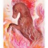 L'Oracle de la voie des animaux - Reconnexion à la nature (jeu de cartes divinatoires) : Un livret explicatif et 44 cartes illustrées par l'artiste Jenny Rys - Pierres de Lumière