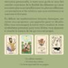 Le Tarot Inclusif - Pierres de Lumière