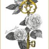 AKASHA - L'oracle des mémoires akashiques - Pierres de Lumière