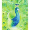 L'Oracle de la voie des animaux - Reconnexion à la nature (jeu de cartes divinatoires) : Un livret explicatif et 44 cartes illustrées par l'artiste Jenny Rys - Pierres de Lumière