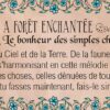 Le Petit Oracle de Merlin l'Enchanteur - Pierres de Lumière