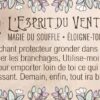 Le petit oracle du druide - Pierres de Lumière