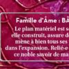 Le petit oracle de la mission d'âme - Pierres de Lumière