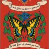 Mon oracle joie, love & énergie - Pierres de Lumière