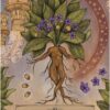 L'oracle des astres et des plantes - Pierres de Lumière