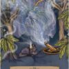 L'oracle des astres et des plantes - Pierres de Lumière