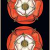 Le tarot Arthurien - Pierres de Lumière