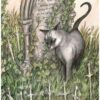Le Tarot spirituel des chats - Pierres de Lumière