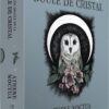 Le Petit oracle de la boule de cristal - Pierres de Lumière