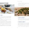 Le Petit Guide de l'herboristerie : Histoire - Préparation - Bienfaits - Pierres de Lumière
