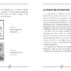 Little Book Tarot - Pierres de Lumière