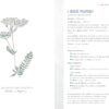 Le Petit Guide de l'herboristerie : Histoire - Préparation - Bienfaits - Pierres de Lumière
