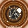 L'Oracle des runes protectrices - Pierres de Lumière