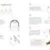 Mon manuel d'acupression : Les bienfaits des points qui guérissent - Pierres de Lumière
