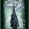 L'Oracle runique des animaux - Pierres de Lumière