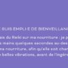 Happy Reiki : 55 cartes pour vivre sereinement et heureux - Pierres de Lumière